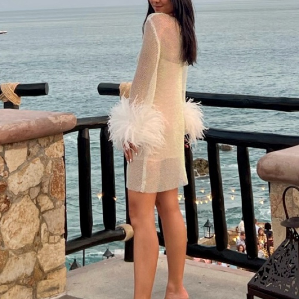 Silver / White Mesh Dress with Feather Cuffs